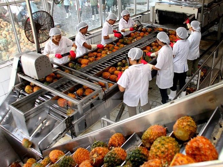 Phục hồi sản xuất nông nghiệp, "chạy đua" thực phẩm Tết - Ảnh 1.