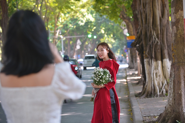 Cúc họa mi tinh khôi xuống phố cùng thu Hà Nội - Ảnh 10. Cúc họa mi tinh khôi xuống phố cùng thu Hà Nội - Ảnh 10.