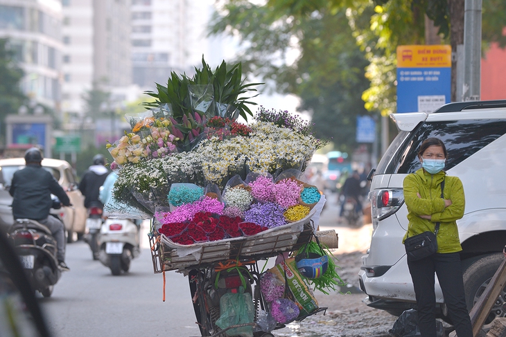 Cúc họa mi tinh khôi xuống phố cùng thu Hà Nội - Ảnh 7. Cúc họa mi tinh khôi xuống phố cùng thu Hà Nội - Ảnh 7.