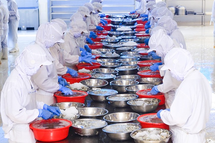 Tín hiệu khả quan từ những doanh nghiệp phía Nam - Ảnh 1.