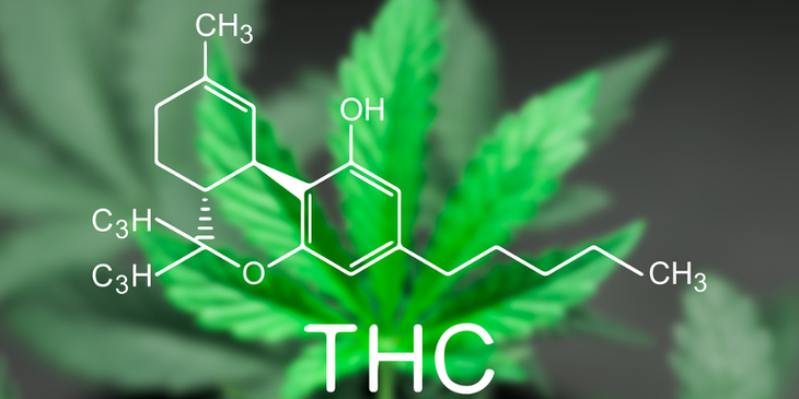 Thông tin ban đầu về vụ việc học sinh ngộ kẹo nghi vấn có chứa thành phần ma túy THC (cần sa) - Ảnh 1. Thông tin ban đầu về vụ việc học sinh ngộ kẹo nghi vấn có chứa thành phần ma túy THC (cần sa) - Ảnh 1.