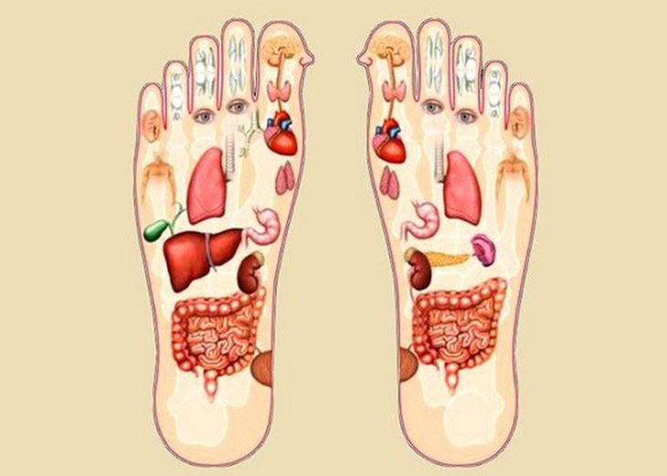 Giữ ấm đôi bàn chân - bí quyết quan trọng phòng ngừa bệnh trong mùa lạnh - Ảnh 2. Giữ ấm đôi bàn chân - bí quyết quan trọng phòng ngừa bệnh trong mùa lạnh - Ảnh 2.