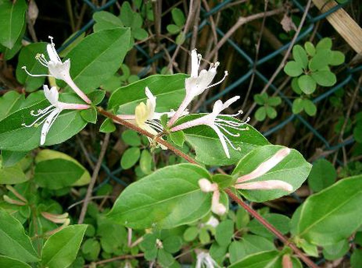 photo-1633252804444