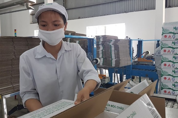 Hàng loạt doanh nghiệp phía Nam khôi phục sản xuất, trở lại "bình thường mới" - Ảnh 4.