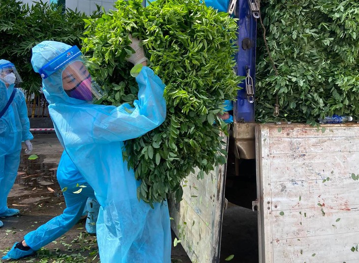 Sài Gòn ngày bình thường mới: Nghệ sĩ đã thấy khác, chỉ đừng quên quy tắc phòng dịch - Ảnh 6.