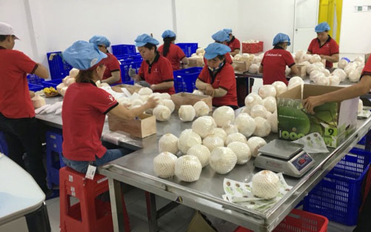 Nhiều hướng đi “phá cách” trong kinh doanh nông sản - Ảnh 1. Nhiều hướng đi “phá cách” trong kinh doanh nông sản - Ảnh 1.