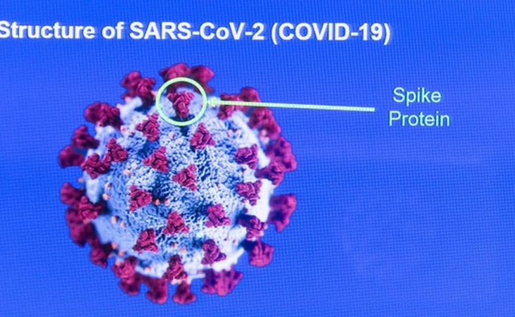 Protein Gai là "công cụ" phá hủy tế bào của virus SARS-CoV-2