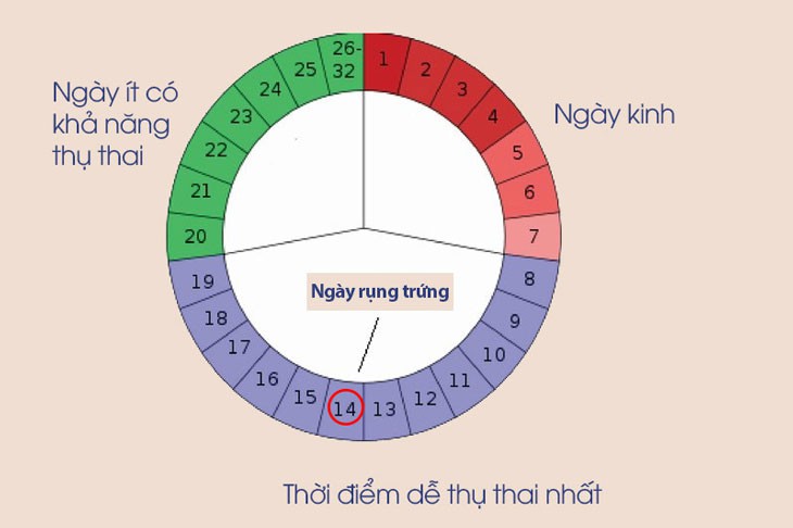 Quan hệ tình dục thời điểm nào dễ mang thai? - Ảnh 5.