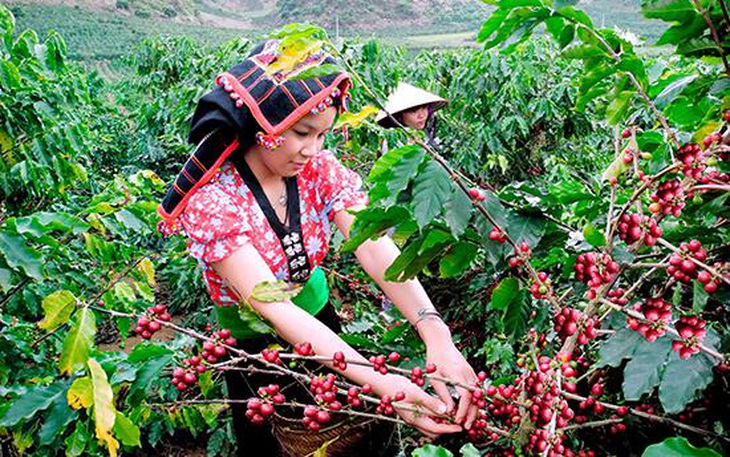 Dự án do CPO Nông nghiệp làm chủ, chưa nghiệm thu đã gặp sự cố nghiêm trọng