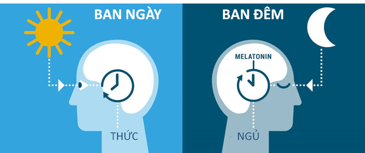 Cách chữa mất ngủ do căng thẳng vì dịch bệnh - Ảnh 2.