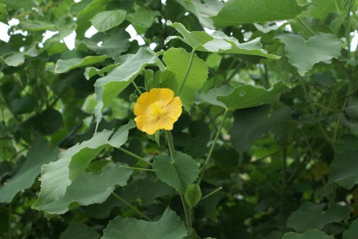 photo-1637032651141
