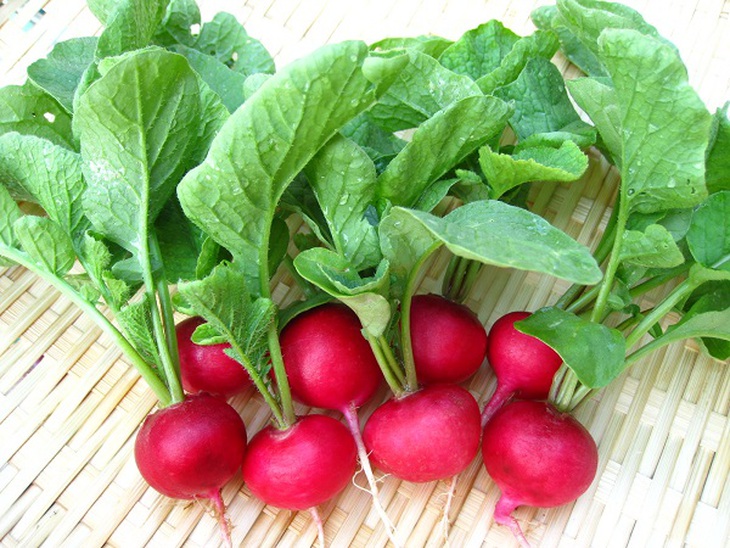 Một số thời điểm bạn nên kiêng ăn rau - Ảnh 5. Một số thời điểm bạn nên kiêng ăn rau - Ảnh 5.