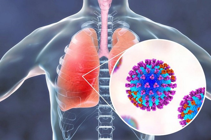 Không chỉ "thích" phổi, SARS-CoV-2 còn tấn công nội mạc mạch máu - Ảnh 1.