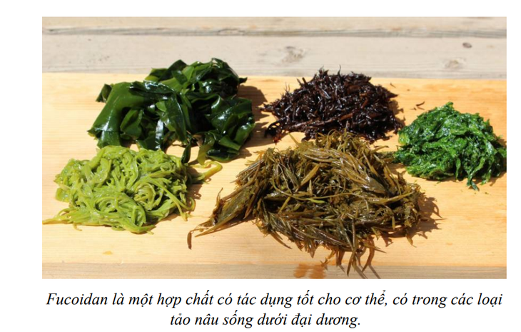Bổ sung dinh dưỡng bảo vệ người cao tuổi trước các bệnh truyền nhiễm theo mùa - Ảnh 3. Bổ sung dinh dưỡng bảo vệ người cao tuổi trước các bệnh truyền nhiễm theo mùa - Ảnh 3.