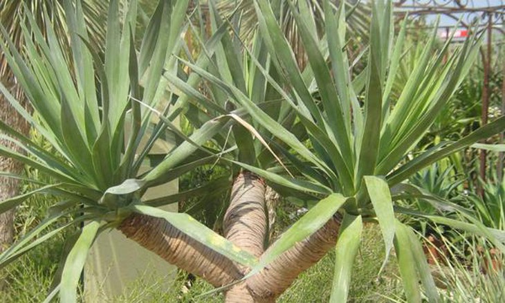 photo-1637506935208