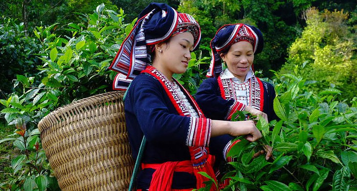 Nâng cao thu nhập, tạo tự tin cho phụ nữ vùng cao - Ảnh 1.