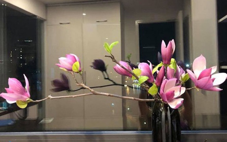 Mộc lan lộng lẫy, quý phái, được chị em ráo riết "săn lùng" - Ảnh 1.