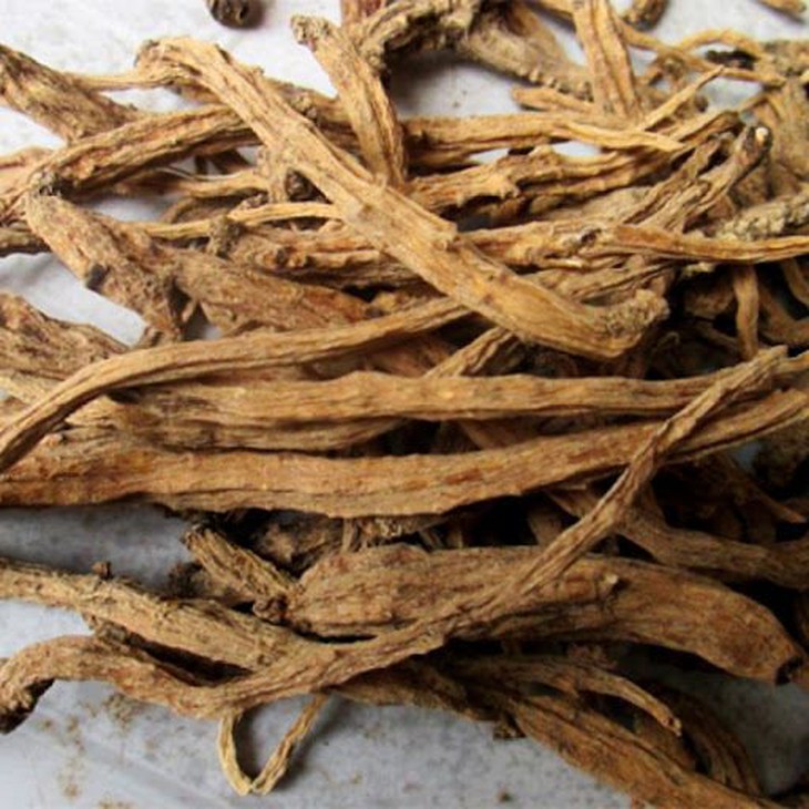 Bài thuốc trị viêm đại tràng mạn thể thấp nhiệt - Ảnh 2.