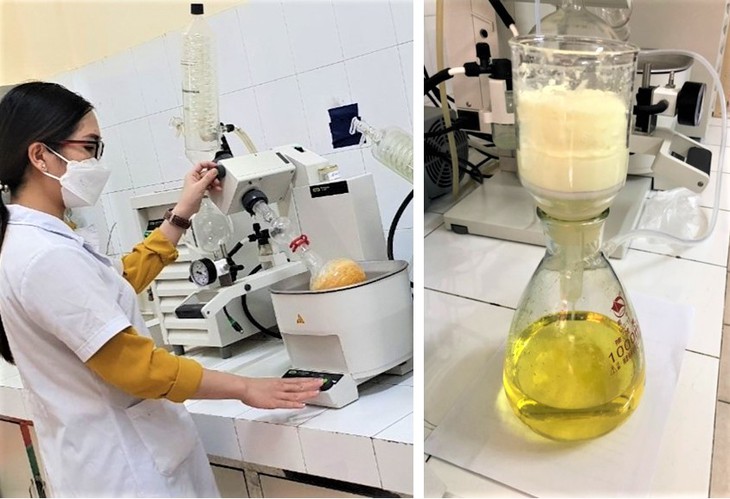 Việt Nam tổng hợp thành công hợp chất để sản xuất thuốc điều trị COVID-19 từ nguyên liệu giá rẻ - Ảnh 2. Việt Nam tổng hợp thành công hợp chất để sản xuất thuốc điều trị COVID-19 từ nguyên liệu giá rẻ - Ảnh 2.