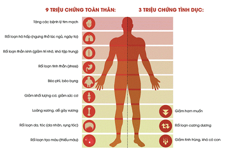 Dấu hiệu của testosterone thấp ở nam giới dưới 30 tuổi - Ảnh 1.