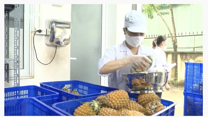 Krub.O – Cung cấp nguyên liệu trà sữa và cà phê với khẩu vị đa dạng phù hợp xu hướng thị trường - Ảnh 1.