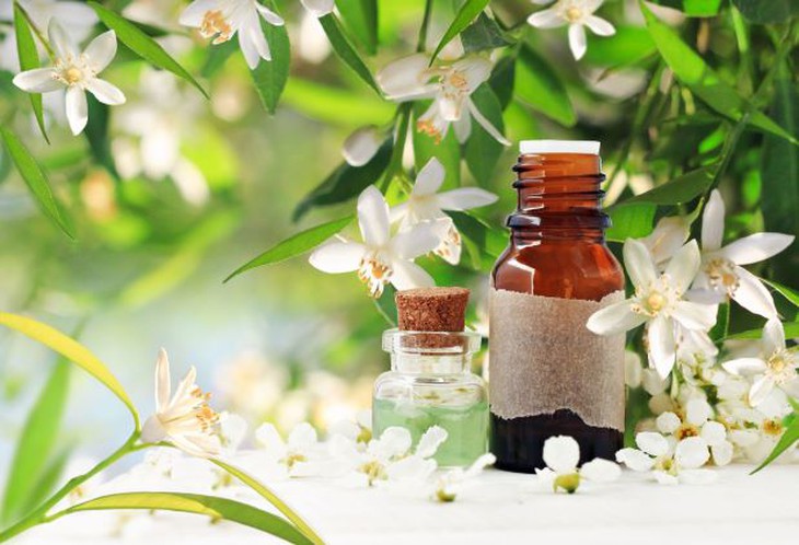 Điều cần biết về 8 loại tinh dầu chữa lành cho làn da - Ảnh 2. Điều cần biết về 8 loại tinh dầu chữa lành cho làn da - Ảnh 2.