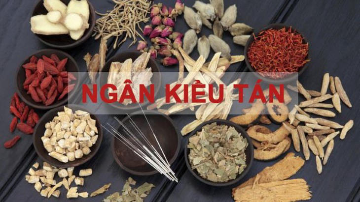 Ngân kiều tán - bài thuốc chữa bệnh truyền nhiễm cấp tính mới phát - Ảnh 3. Ngân kiều tán - bài thuốc chữa bệnh truyền nhiễm cấp tính mới phát - Ảnh 3.