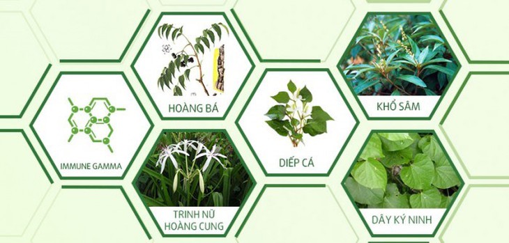 Có nên đốt diệt tuyến khi mắc viêm lộ tuyến cổ tử cung? - Ảnh 2.