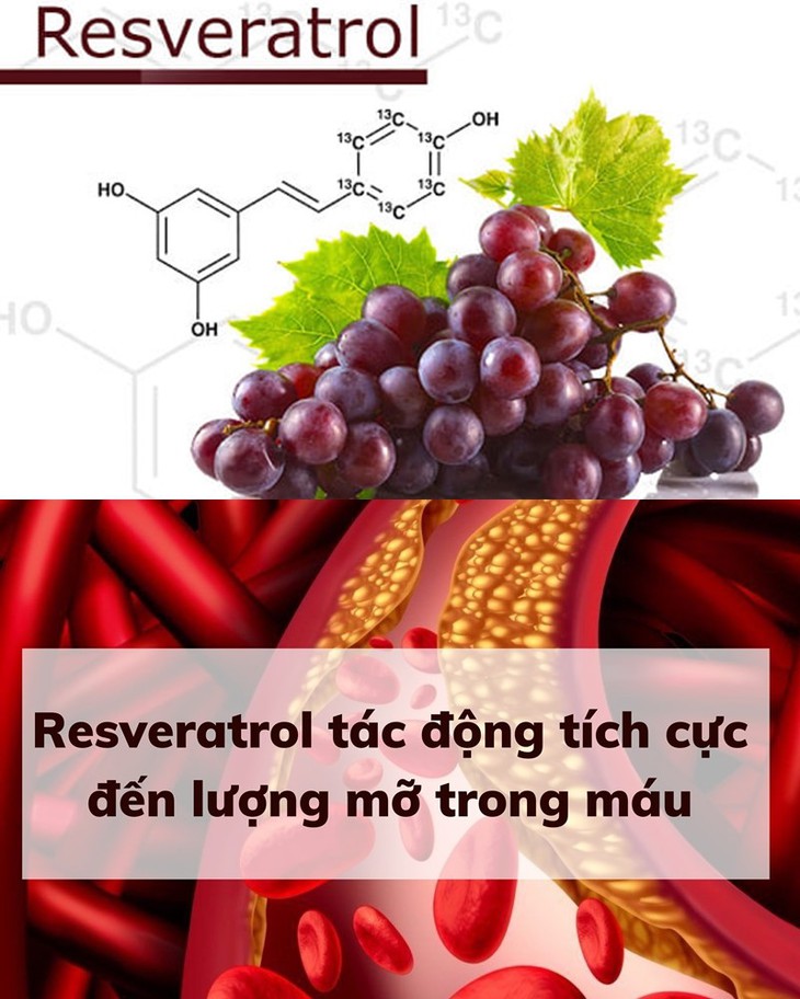 Cơ hội cho người mỡ máu - Ứng dụng công nghệ nano từ châu Âu - Ảnh 3.