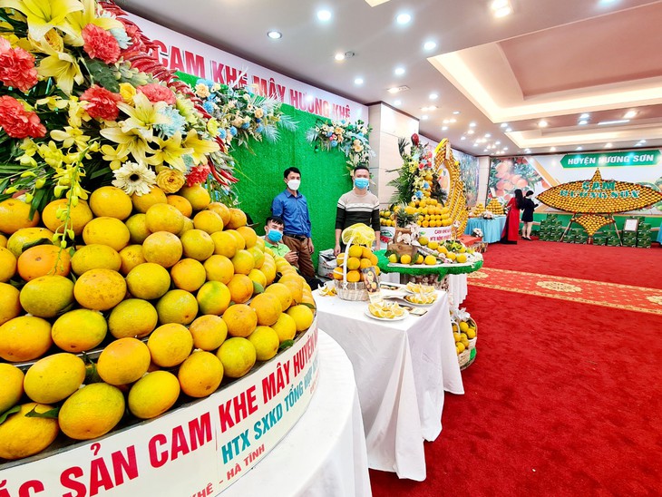 Thúc đẩy thương mại, gỡ khó tiêu thụ cam Hà Tĩnh - Ảnh 4.