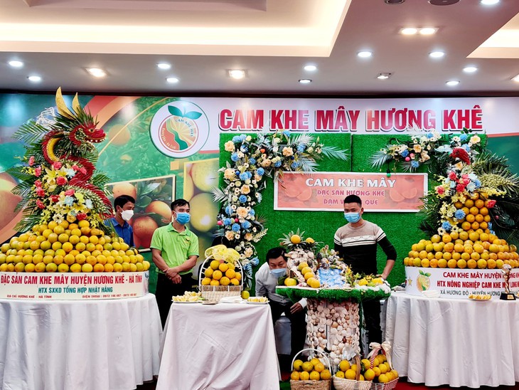 Thúc đẩy thương mại, gỡ khó tiêu thụ cam Hà Tĩnh - Ảnh 5.