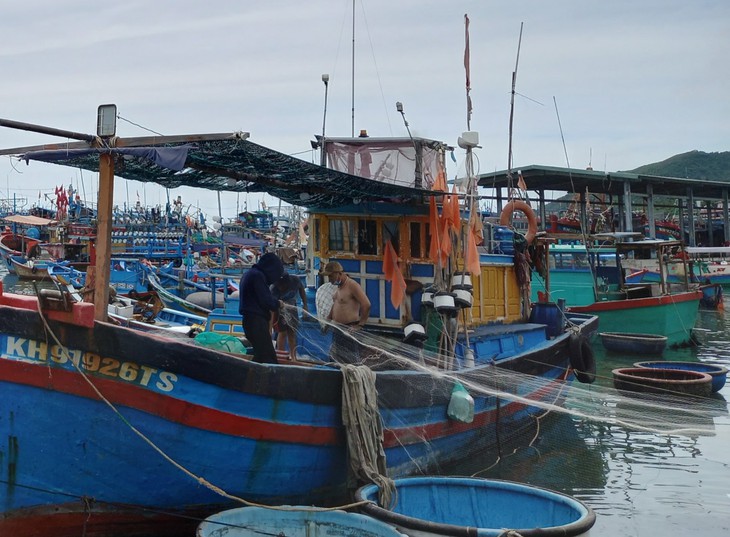 Vươn khơi xem biển cả như nhà mình - Ảnh 3.