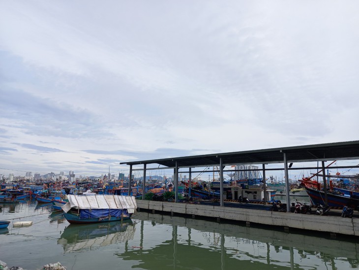Vươn khơi xem biển cả như nhà mình - Ảnh 7.