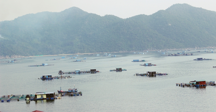 Vươn khơi xem biển cả như nhà mình - Ảnh 8.