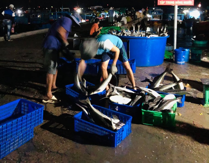 Vươn khơi xem biển cả như nhà mình - Ảnh 6.
