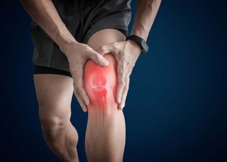 Tỳ giải – vị thuốc lợi tiểu, chữa lưng gối tê đau, mụn nhọt - Ảnh 4.