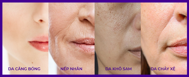 Bí mật về lão hóa da      - Ảnh 2.