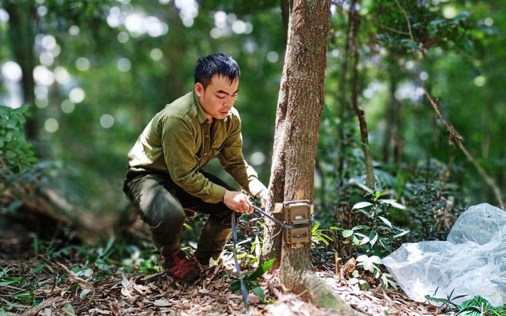 Tiếp nhận cá thể khỉ vàng quý hiếm do người dân tự nguyện giao nộp- Ảnh 3.