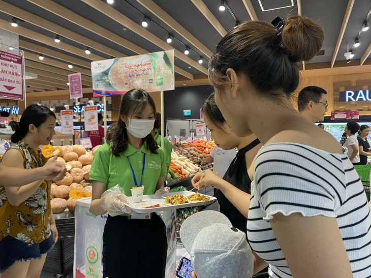 Trải nghiệm nấm tươi Hàn Quốc cùng Biovegi Việt Nam - Ảnh 1. Trải nghiệm nấm tươi Hàn Quốc cùng Biovegi Việt Nam - Ảnh 1.