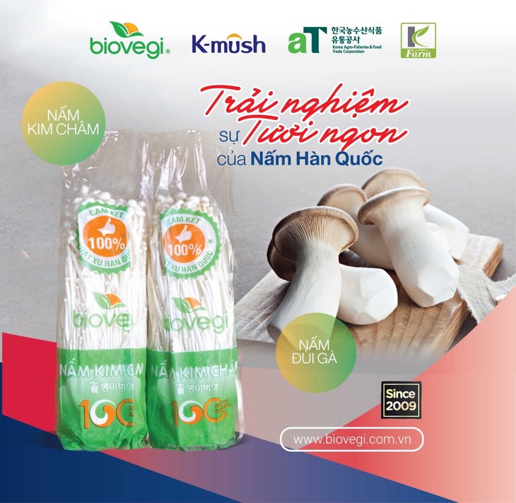 Trải nghiệm nấm tươi Hàn Quốc cùng Biovegi Việt Nam - Ảnh 2. Trải nghiệm nấm tươi Hàn Quốc cùng Biovegi Việt Nam - Ảnh 2.