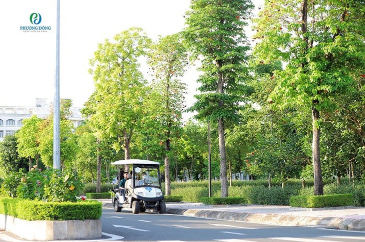 Tour du lịch thai sản - trải nghiệm đặc biệt cho mẹ bầu trước giờ G - Ảnh 3.