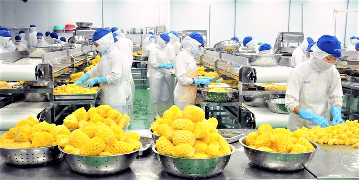 Cuối quý I năm 2022, tình hình lao động có thể được khôi phục lại như trước thời điểm bùng phát dịch - Ảnh 2. Cuối quý I năm 2022, tình hình lao động có thể được khôi phục lại như trước thời điểm bùng phát dịch - Ảnh 2.