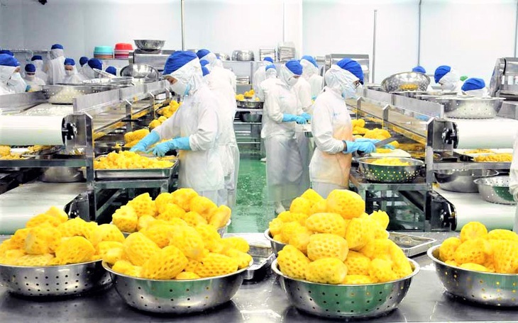 Bao giờ thị trường lao động khôi phục như trước khi có dịch COVID-19?