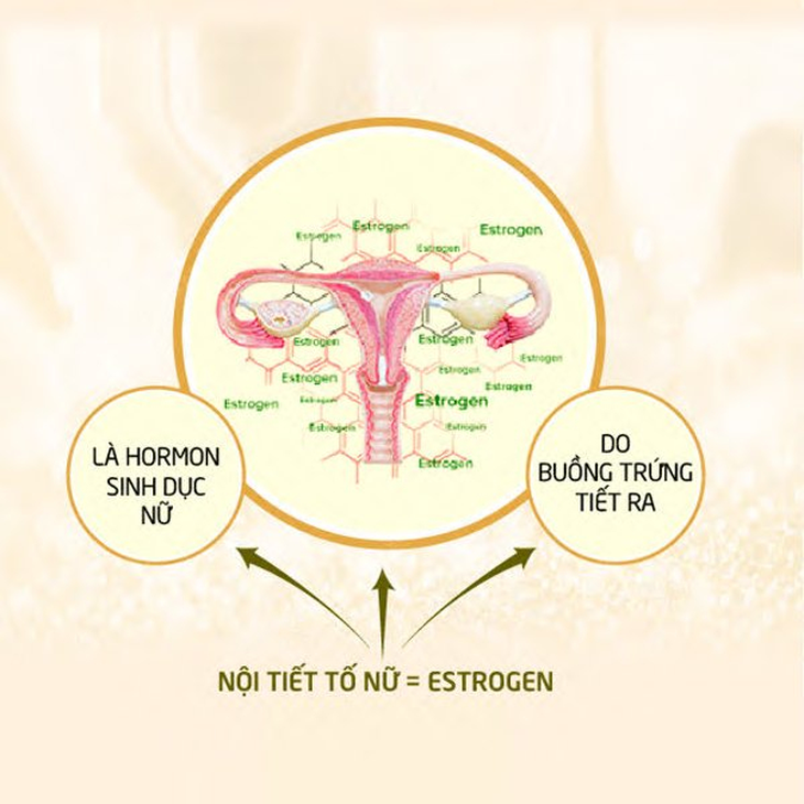 Tầm quan trọng của nội tiết tố đối với “tuổi xuân” phụ nữ - Ảnh 1.