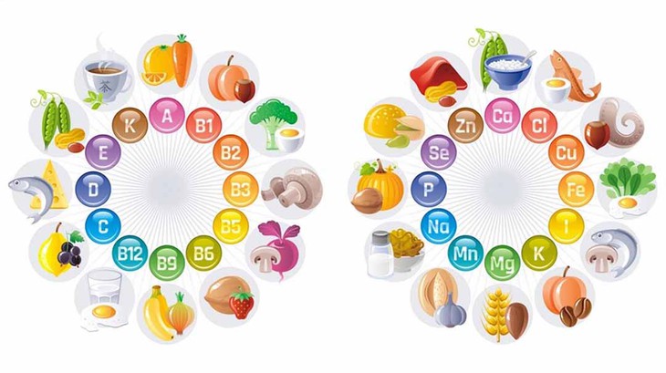 Bổ sung vitamin và khoáng chất chủ động - Ảnh 3.
