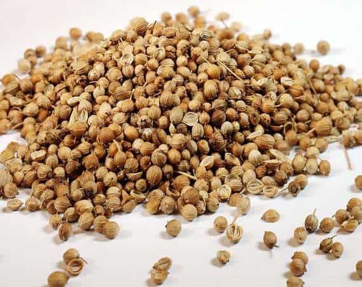 La bặc tử - tiêu thực, trừ trướng, trừ đờm - Ảnh 3.