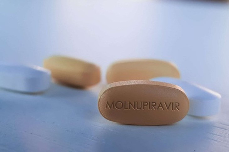 Bộ Y tế thông tin hiệu quả của thuốc Molnupiravir trong điều trị có kiểm soát bệnh nhân mắc COVID-19 thể nhẹ - Ảnh 1. Bộ Y tế thông tin hiệu quả của thuốc Molnupiravir trong điều trị có kiểm soát bệnh nhân mắc COVID-19 thể nhẹ - Ảnh 1.
