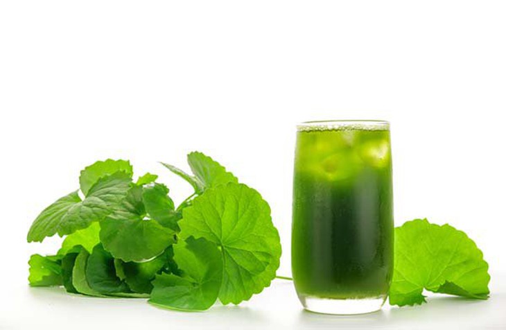 8 loại nước uống tốt cho người bệnh viêm đường tiết niệu - Ảnh 3. 8 loại nước uống tốt cho người bệnh viêm đường tiết niệu - Ảnh 3.