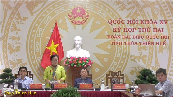 ĐBQH đề nghị nâng mức đóng BHYT và bổ sung thêm các hình thức để chi trả chi phí khám, chữa bệnh - Ảnh 2.