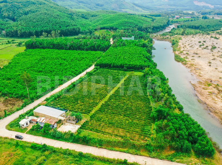 Xua tan lo bệnh tiểu đường với giải pháp hỗ trợ từ thiên nhiên   - Ảnh 2.